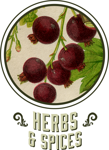 Proprietary Blend of Herbs